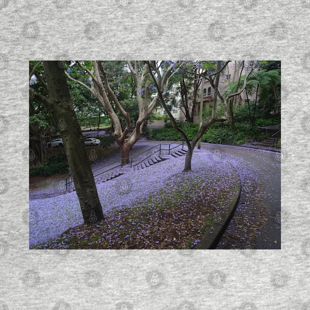 Jacaranda Snow by Julie Vaux